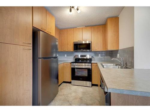 428-22 Richard Place Sw, Calgary, AB - Indoor Photo Showing Kitchen With Double Sink