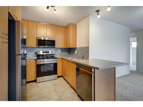 428-22 Richard Place Sw, Calgary, AB - Indoor Photo Showing Kitchen With Double Sink