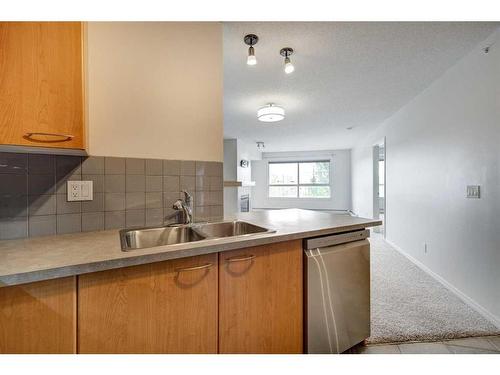 428-22 Richard Place Sw, Calgary, AB - Indoor Photo Showing Kitchen With Double Sink