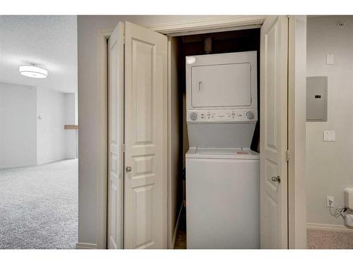 428-22 Richard Place Sw, Calgary, AB - Indoor Photo Showing Laundry Room