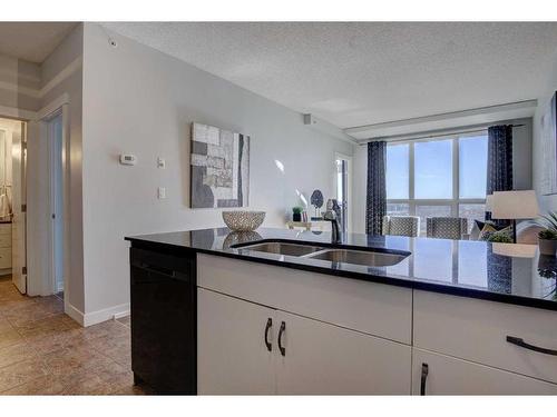 1804-8710 Horton Road Sw, Calgary, AB - Indoor Photo Showing Kitchen With Double Sink