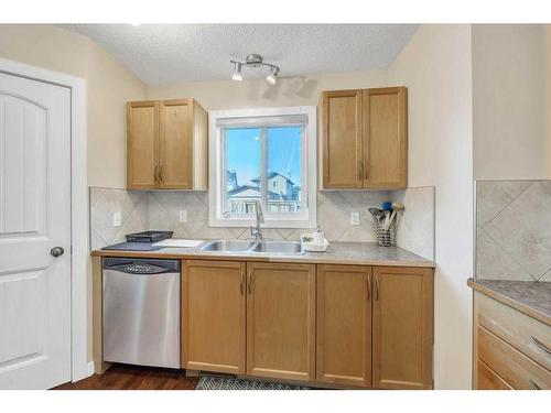 140 Saddlebrook Circle Ne, Calgary, AB - Indoor Photo Showing Kitchen With Double Sink