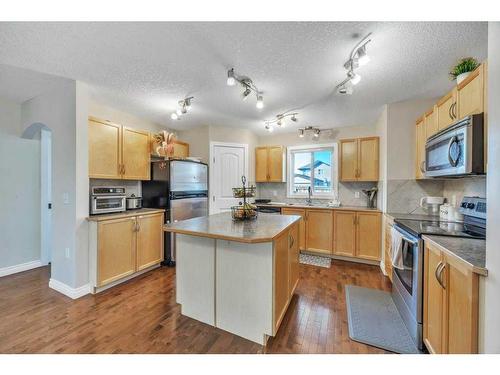 140 Saddlebrook Circle Ne, Calgary, AB - Indoor Photo Showing Kitchen With Double Sink