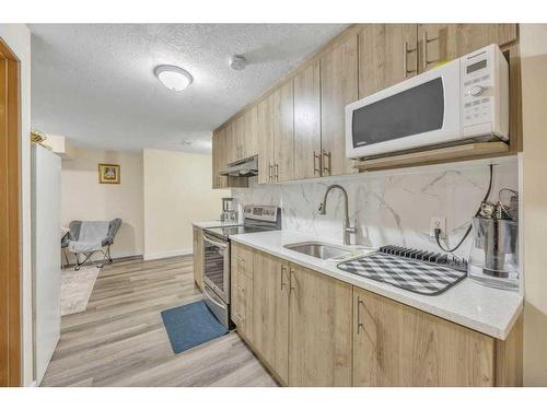 140 Saddlebrook Circle Ne, Calgary, AB - Indoor Photo Showing Kitchen