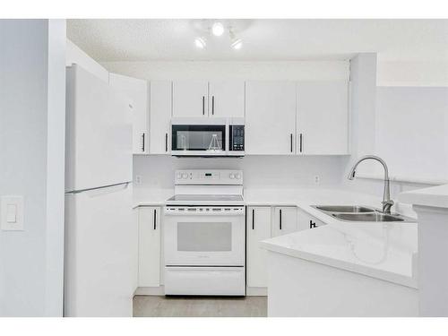 1221-8810 Royal Birch Boulevard Nw, Calgary, AB - Indoor Photo Showing Kitchen With Double Sink