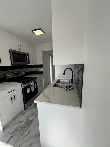 16-2020 16 Avenue Nw, Calgary, AB - Indoor Photo Showing Kitchen With Double Sink