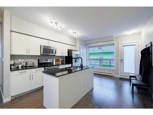 302-1740 9 Street Nw, Calgary, AB - Indoor Photo Showing Kitchen With Double Sink