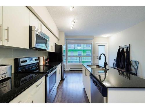 302-1740 9 Street Nw, Calgary, AB - Indoor Photo Showing Kitchen With Stainless Steel Kitchen With Upgraded Kitchen