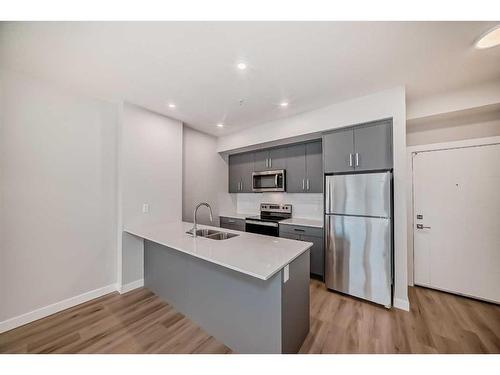 2208-151 Skyview Bay Ne, Calgary, AB - Indoor Photo Showing Kitchen With Double Sink With Upgraded Kitchen