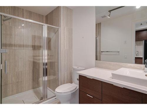 243-1719 9A Street Sw, Calgary, AB - Indoor Photo Showing Bathroom