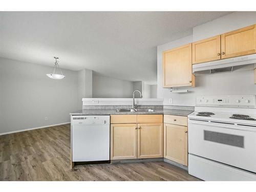 348 Mckenzie Towne Link Se, Calgary, AB - Indoor Photo Showing Kitchen With Double Sink