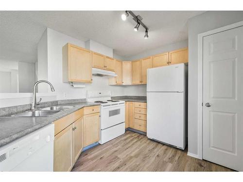 348 Mckenzie Towne Link Se, Calgary, AB - Indoor Photo Showing Kitchen With Double Sink