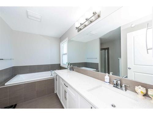 134 Howse Rise Ne, Calgary, AB - Indoor Photo Showing Bathroom