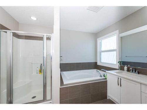 134 Howse Rise Ne, Calgary, AB - Indoor Photo Showing Bathroom