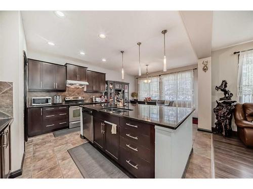 116 Evanspark Circle Nw, Calgary, AB - Indoor Photo Showing Kitchen With Double Sink With Upgraded Kitchen