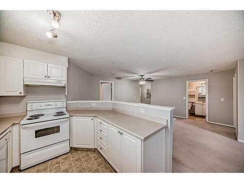 2115-2280 68 Street Ne, Calgary, AB - Indoor Photo Showing Kitchen