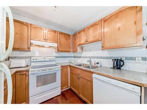 246 Taracove Place Ne, Calgary, AB - Indoor Photo Showing Kitchen With Double Sink