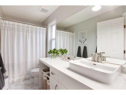 1043 Bridlemeadows Manor Sw, Calgary, AB - Indoor Photo Showing Bathroom