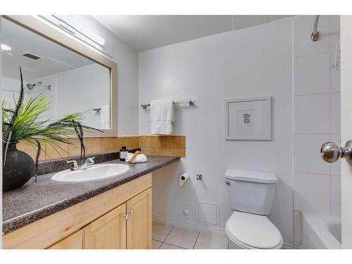 302-1320 12 Avenue Sw, Calgary, AB - Indoor Photo Showing Bathroom