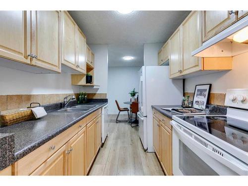 302-1320 12 Avenue Sw, Calgary, AB - Indoor Photo Showing Kitchen With Double Sink