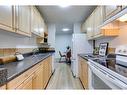 302-1320 12 Avenue Sw, Calgary, AB  - Indoor Photo Showing Kitchen With Double Sink 