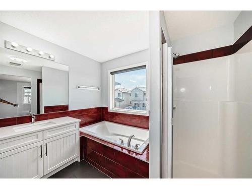 457 Skyview Shores Manor Ne, Calgary, AB - Indoor Photo Showing Bathroom