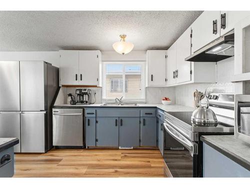 64 Pennsburg Way Se, Calgary, AB - Indoor Photo Showing Kitchen With Stainless Steel Kitchen With Double Sink