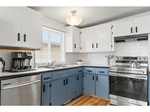 64 Pennsburg Way Se, Calgary, AB - Indoor Photo Showing Kitchen With Double Sink