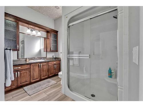 250040 Dynasty Drive West, Rural Foothills County, AB - Indoor Photo Showing Bathroom