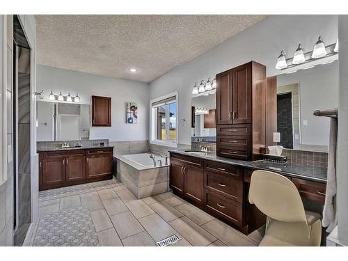 250040 Dynasty Drive West, Rural Foothills County, AB - Indoor Photo Showing Bathroom