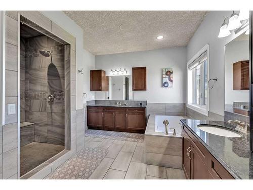 250040 Dynasty Drive West, Rural Foothills County, AB - Indoor Photo Showing Bathroom