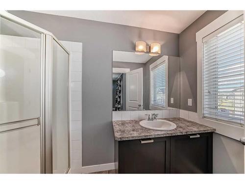 145 Skyview Point Green Ne, Calgary, AB - Indoor Photo Showing Bathroom