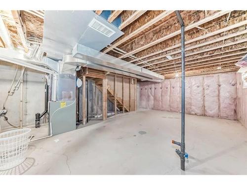 145 Skyview Point Green Ne, Calgary, AB - Indoor Photo Showing Basement