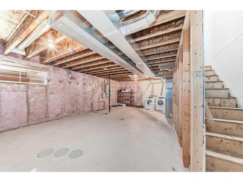 145 Skyview Point Green Ne, Calgary, AB - Indoor Photo Showing Basement