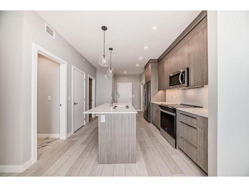 1517-395 Skyview Parkway Ne, Calgary, AB - Indoor Photo Showing Kitchen With Upgraded Kitchen