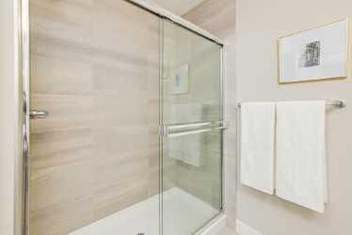 263 Cornerbrook Road Ne, Calgary, AB - Indoor Photo Showing Bathroom