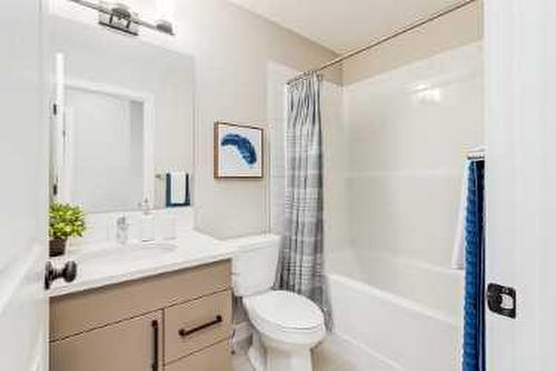 263 Cornerbrook Road Ne, Calgary, AB - Indoor Photo Showing Bathroom