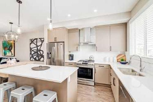 263 Cornerbrook Road Ne, Calgary, AB - Indoor Photo Showing Kitchen With Stainless Steel Kitchen With Upgraded Kitchen