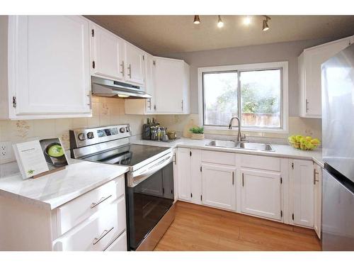 136 Bedfield Close Ne, Calgary, AB - Indoor Photo Showing Kitchen With Double Sink