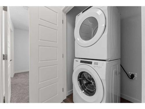 305-137 Red Embers Link Ne, Calgary, AB - Indoor Photo Showing Laundry Room