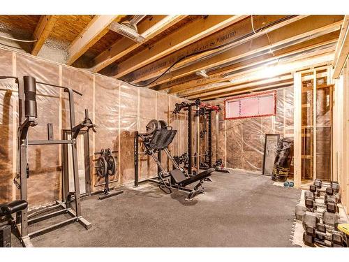 164 Auburn Meadows Crescent Se, Calgary, AB - Indoor Photo Showing Basement