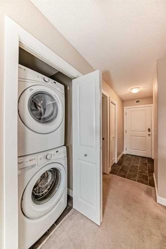 8410-403 Mackenzie Way Sw, Airdrie, AB - Indoor Photo Showing Laundry Room