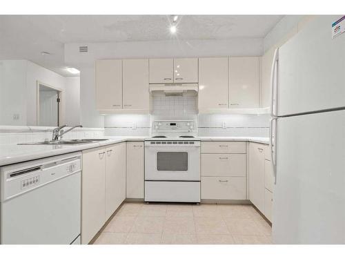 202-804 3 Avenue Sw, Calgary, AB - Indoor Photo Showing Kitchen