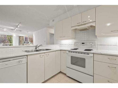 202-804 3 Avenue Sw, Calgary, AB - Indoor Photo Showing Kitchen With Double Sink