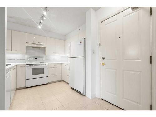 202-804 3 Avenue Sw, Calgary, AB - Indoor Photo Showing Kitchen