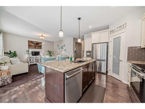 51 Cranberry Circle Se, Calgary, AB - Indoor Photo Showing Kitchen With Double Sink With Upgraded Kitchen