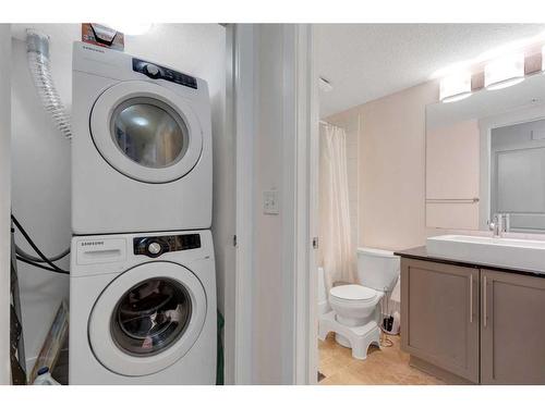 6111-155 Skyview Ranch Way Ne, Calgary, AB - Indoor Photo Showing Laundry Room