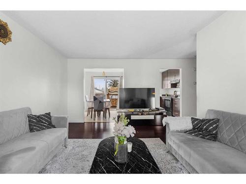 211 Marlyn Place Ne, Calgary, AB - Indoor Photo Showing Living Room