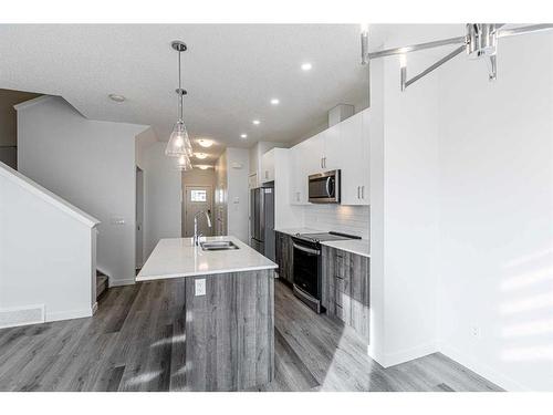 506-137 Red Embers Link, Calgary, AB - Indoor Photo Showing Kitchen With Double Sink