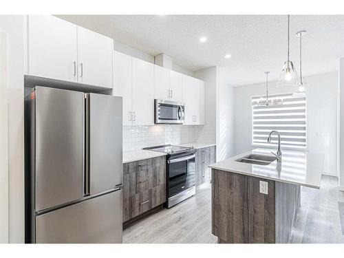 506-137 Red Embers Link, Calgary, AB - Indoor Photo Showing Kitchen With Double Sink With Upgraded Kitchen